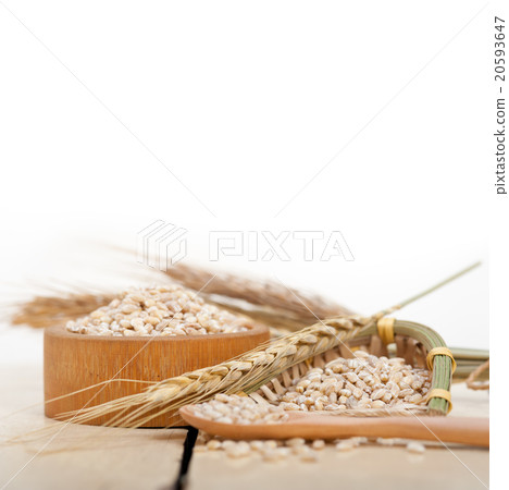 organic barley grains 20593647