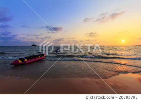 Pentas lanceolata or Egyptian Starcluster 20593795