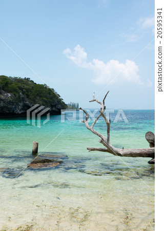 Cannemera bay (New Caledonia, IL · DE PAN) Cannemera bay (New Caledonia, IL · DE PAN) 20595341