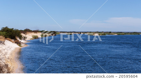 bank of the river zambezi bank of the river zambezi 20595604