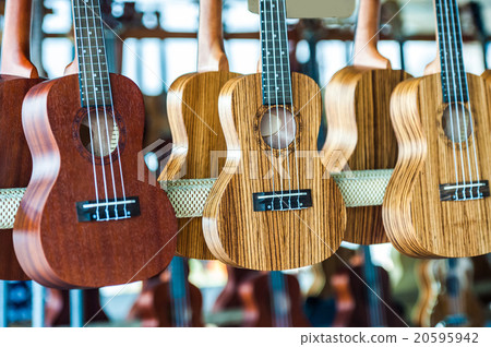 ukulele 20595942