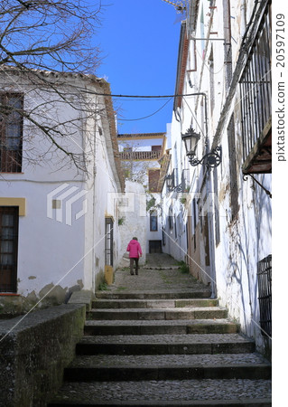 Ronda 20597109