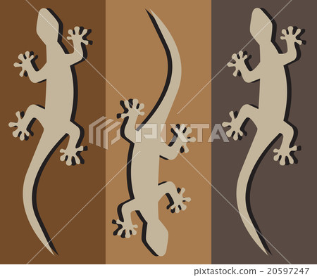 three geckos crawling silhouette 20597247