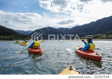 mangrove mangrove 20597544