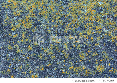 Background material Background material 20597966