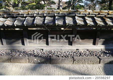 Tsukiji籬芭照片 Tsukiji籬芭照片 20598297