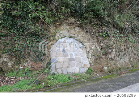 住房的照片 20598299