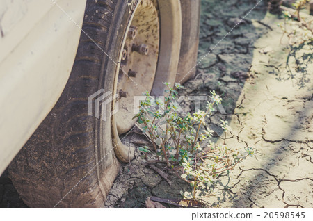 Broken car and new bud 20598545