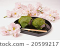 Cherry blossom 20599217
