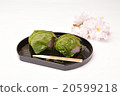 Cherry blossom 20599218