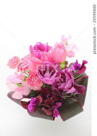 粉紅色的鬱金香和紫色鬱金香（垂直整個迷你吧背面）的安排 20599880