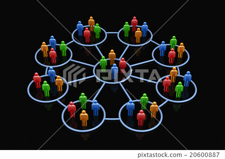 The network The network 20600887