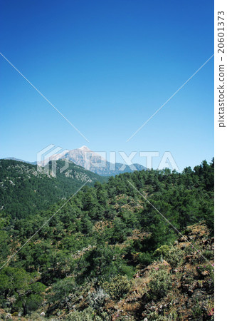 View on Tahtali Dagi mountain. Lycian Way. Aged. 20601373