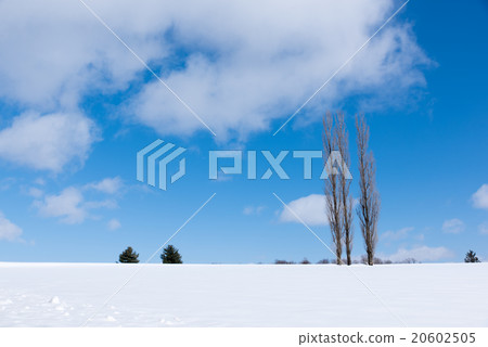 Biei Akabane Hill Biei Akabane Hill 20602505
