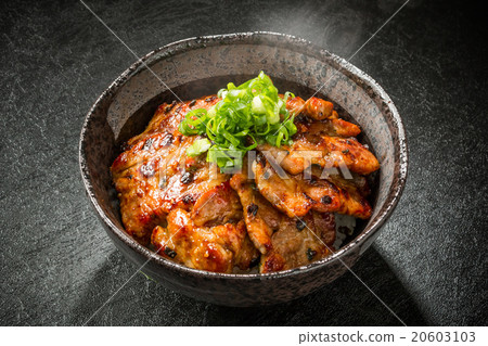 Pork bowl made from brand pork Delicious food of pork bowl Japan 20603103