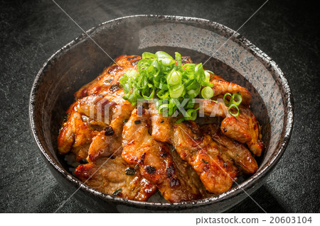 Pork bowl made from brand pork Delicious food of pork bowl Japan 20603104