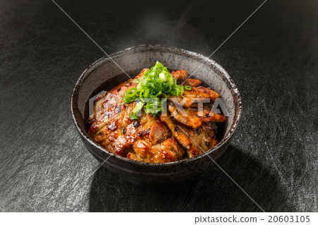 Pork bowl made from brand pork Delicious food of pork bowl Japan 20603105