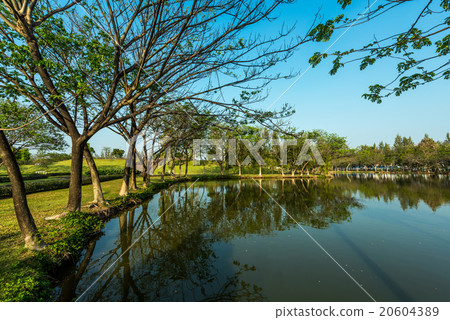 lake in the garden 20604389