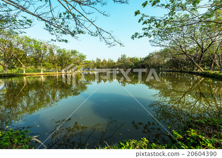 lake in the garden 20604390