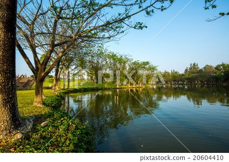 lake in the garden 20604410