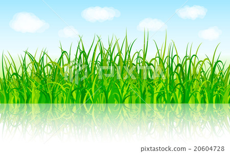 Nature background with green grass and blue sky - Stock Illustration ...