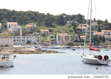 薰衣草的公共島嶼 薰衣草的公共島嶼 20606378