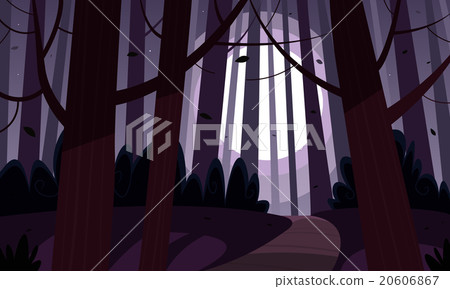 Night Forest Trail Night Forest Trail 20606867