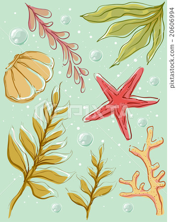 Colorful Underwater Seaweeds 20606994