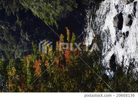 Autumnal leaves of the Keiko River and Mt. Okurayama 20608136