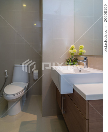Luxury Interior bathroom 20608199