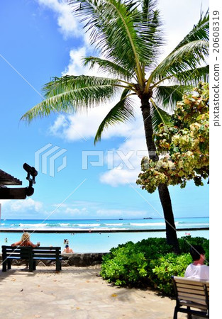 Holidays in Hawaii 20608319