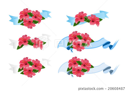 Hibiscus ribbon - Stock Illustration [20608487] - PIXTA