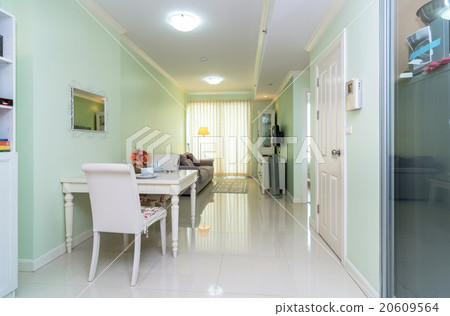 Luxury Interior living room 20609564