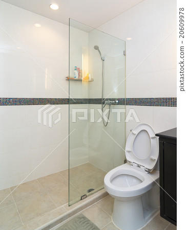 Luxury Interior bathroom 20609978