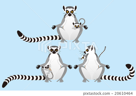 Sunbustling wolverine lemur 20610464