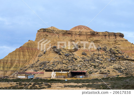 Sheeps in Bardenas Sheeps in Bardenas 20617838