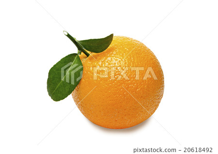 Orange with leaves isolated on white.Clipping path Orange with leaves isolated on white.Clipping path 20618492