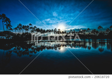 棕櫚樹和日落的天空，水面的反射，夏威夷， 20618720