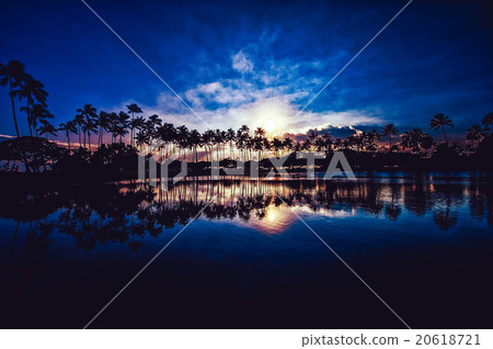 Palm trees and the sky of sunset, reflection of the water surface, Hawaii, 20618721