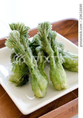 Tempura of Tara Bud 20618890