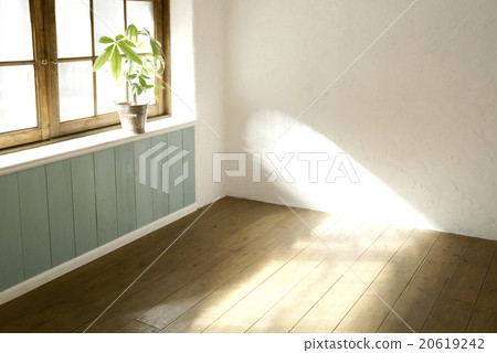 Sunlight from the window Sunlight from the window 20619242