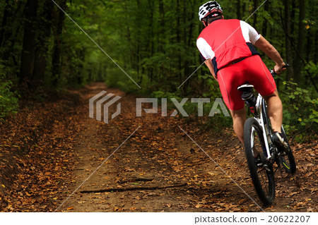 Bicyclist with His Bicycle in the Summer Forest 20622207