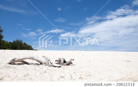 Tropical beach on Bamboo Island, Thailand 20622318