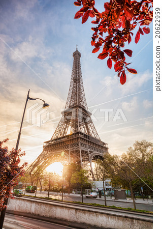 Eiffel Tower with spring tree in Paris, France 20622959