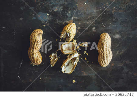 Fresh peanuts in shell 20623715