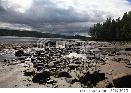 low tide, the rocks on the beach 20625075