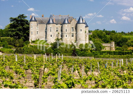 Luynes Castle with vineyard, Indre-et-Loire,France 20625113