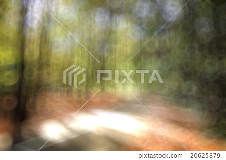 Autumn Park unfocused background Autumn Park unfocused background 20625879