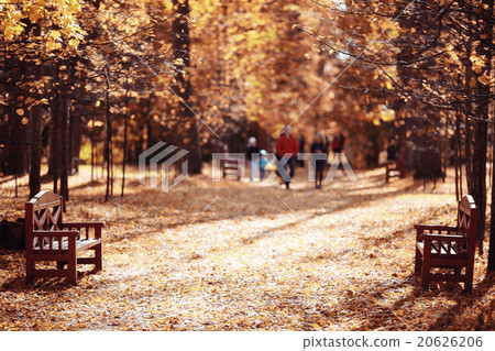 bench in the autumn park, recreation 20626206