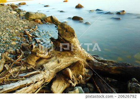 beach stone coast water frozen landscape 20626792
